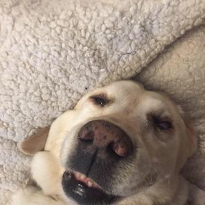 Meet your Posher, Zoey